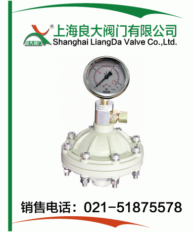 PP、PVDF脈沖阻尼器